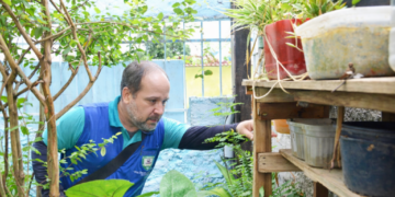Serra reduz em 40% os casos de dengue no primeiro semestre de 2026